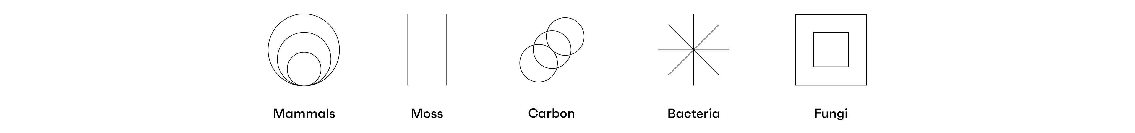 The entities we identified