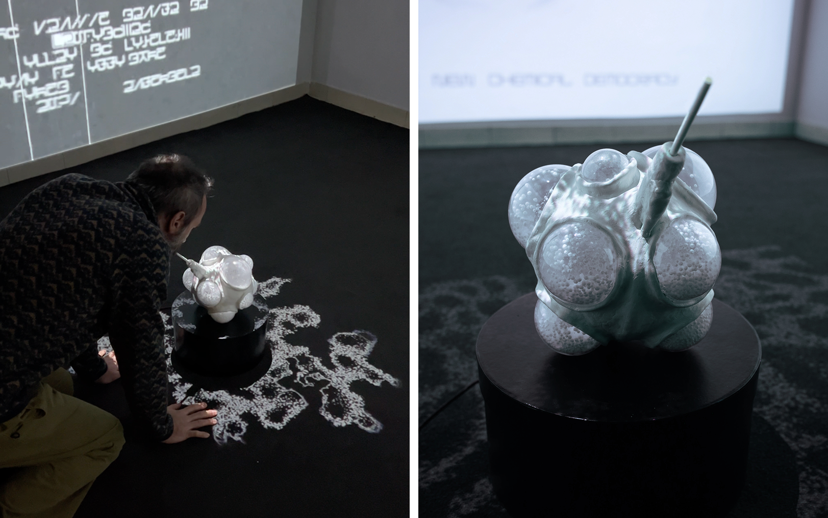 photos from the demo exhibition