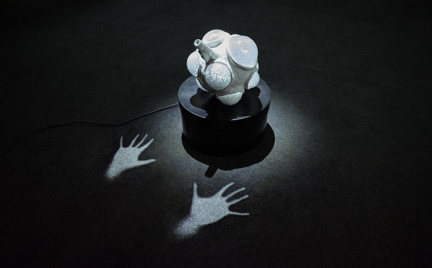 photos from the demo exhibition