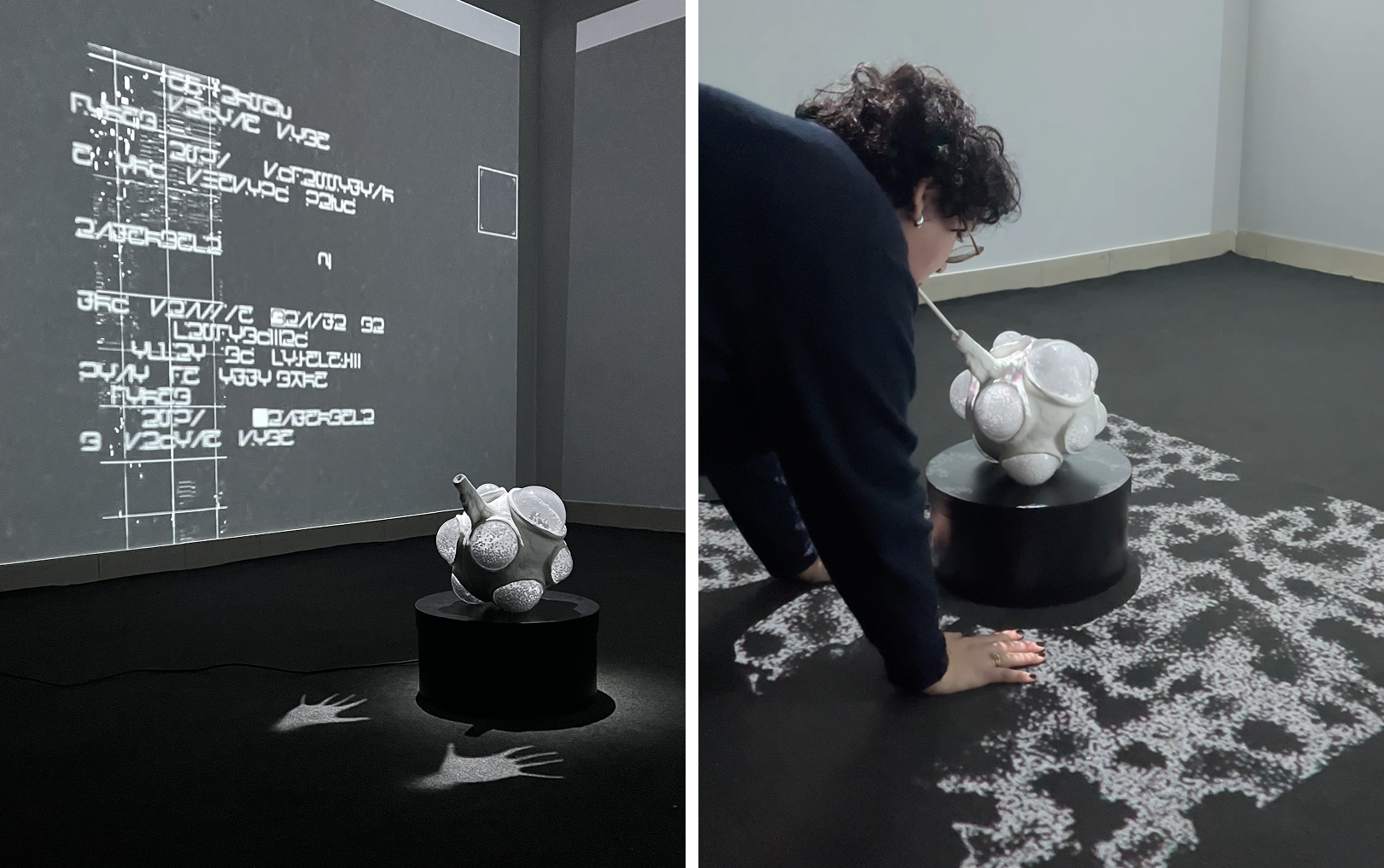 photos from the demo exhibition