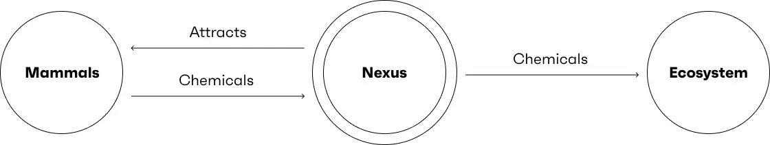 How Nexus works