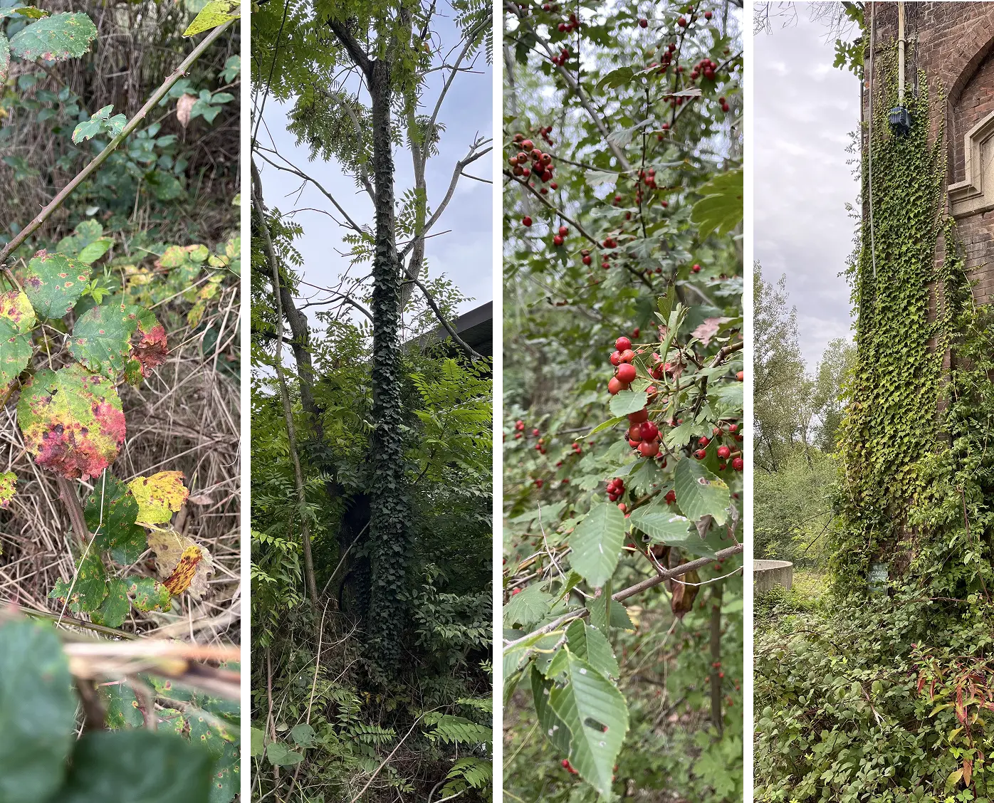 Field research nature photos