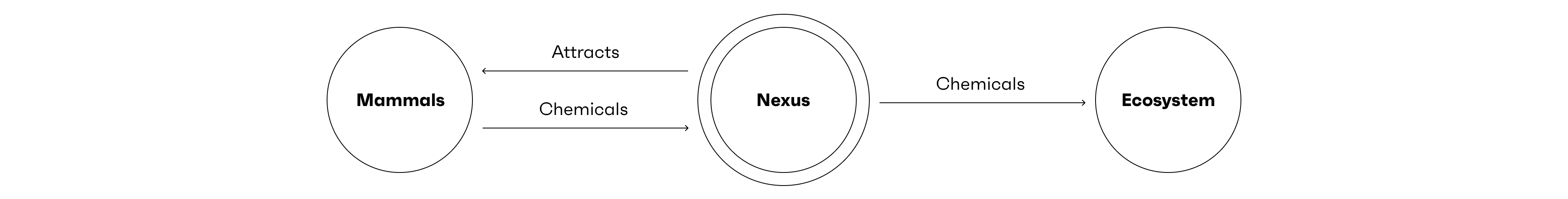 A graph showing the functioning of Nexus