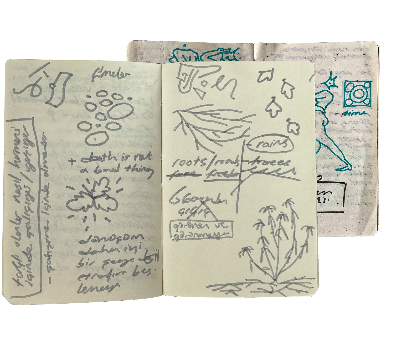 Field research sketches and notes