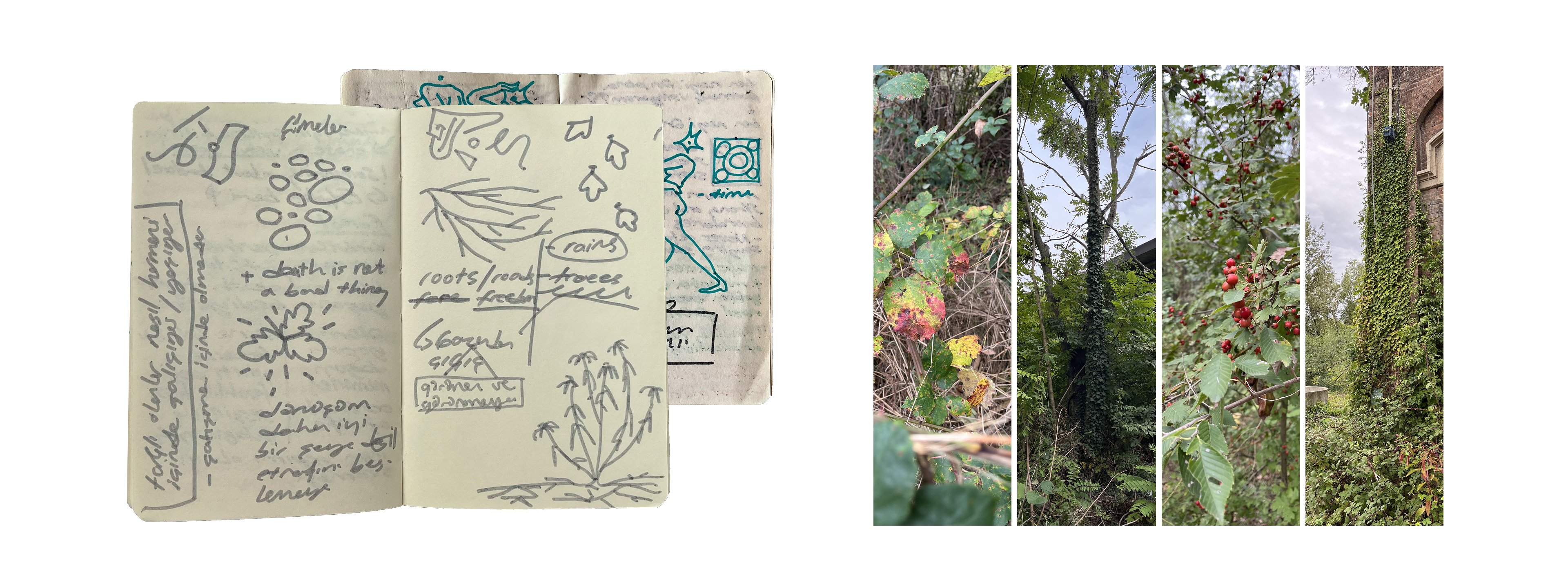 The sketches we did in the field research