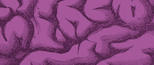 Brain pattern texture