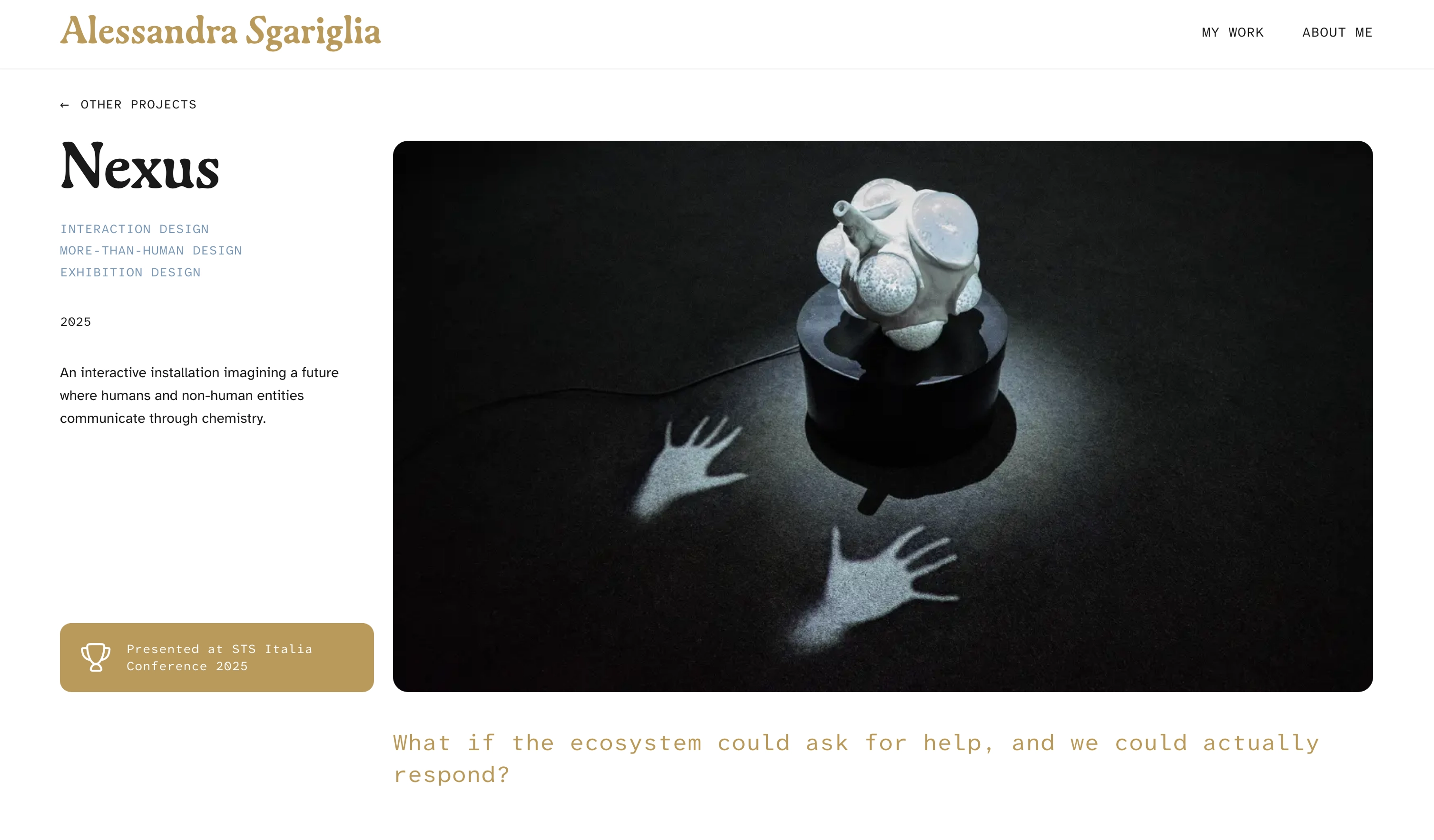 Portfolio website — project page